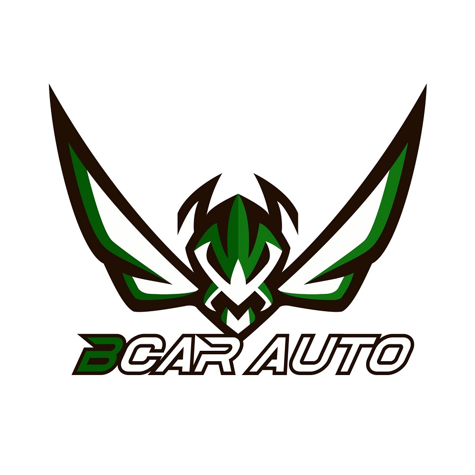 Đôi nét về Bcar Auto Center