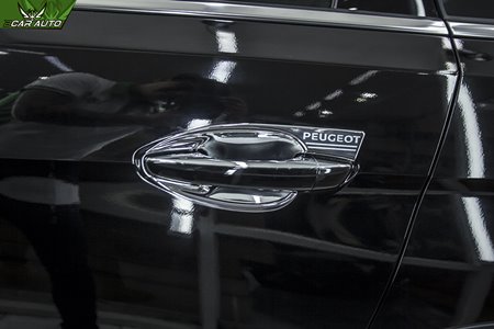 Ốp hõm chén cửa xe Peugeot 5008